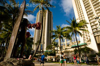 Estatua de Duke Kabanamoku, el padre del surf que popularizó el deporte real. Playa de Waikiki Beach. O’ahu.